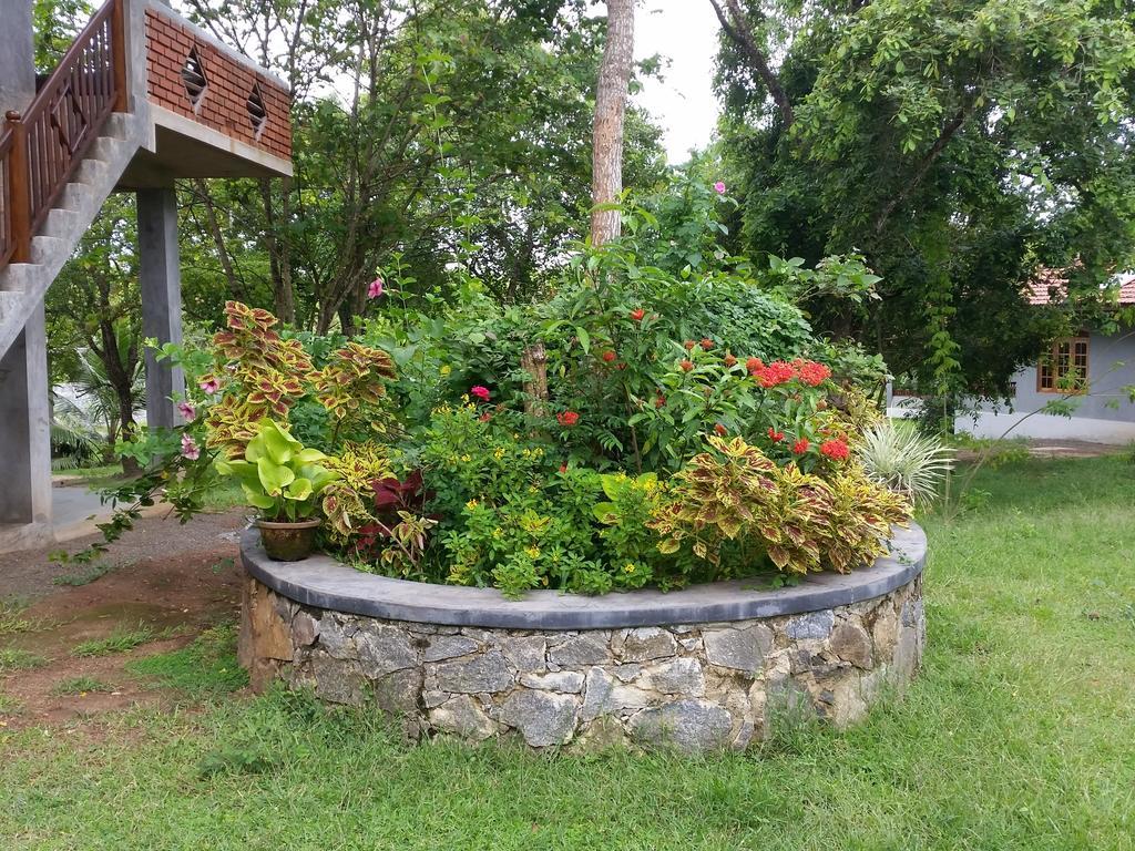 Tranquality Chalets Tangalle Zimmer foto